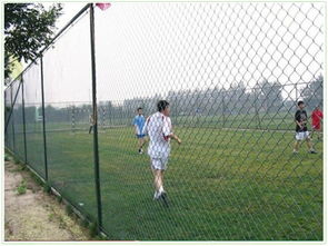 定制足球場圍網隔離網私人定制種類齊全