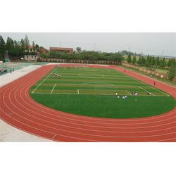 人造草坪足球場 騰夏裝飾產(chǎn)品 金壇人造草