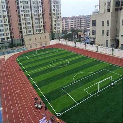 巴中 運(yùn)動(dòng)場人工草坪 假草 鋪裝