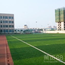 【山東菏澤門球場假草翻新鋪裝價格仿真草材料】-