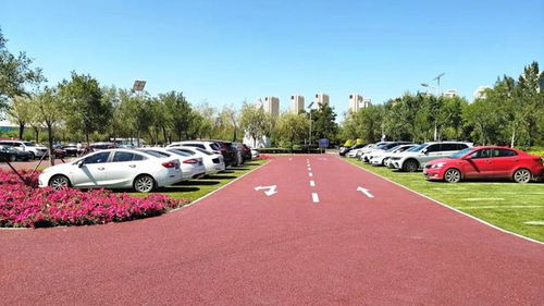 呼和浩特首個 真草坪上的停車場 對市民免費開放,看看是哪里
