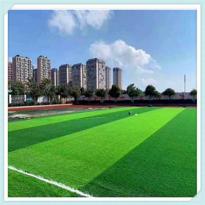 呂梁,學(xué)校運(yùn)動(dòng)場(chǎng)人工草皮,免填充足球場(chǎng)仿真草,運(yùn)動(dòng)場(chǎng)地人工草坪鋪裝