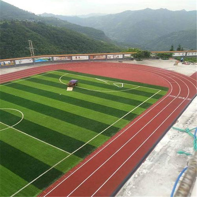 湖州人工草坪,足球場人造草坪,5.0足球草,負責鋪裝