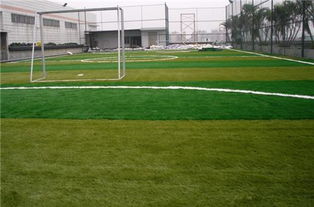 足球用品價格 石家莊足球場人造草皮廠家室內足球館安裝工程包含批發價格 石家莊市
