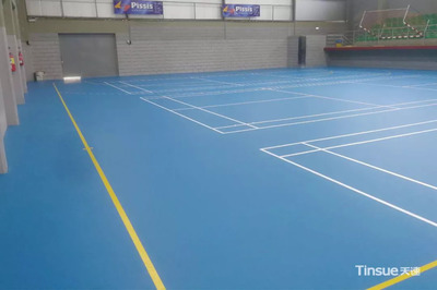 國(guó)外案例推薦| 塞浦路斯手球、羽毛球混合場(chǎng)地賞析