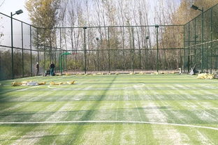 我家每天不一樣 打球,約不 這下好了,不出村就有專業(yè)球場