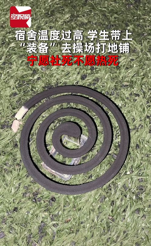 宿舍溫度過高,學生帶上 裝備 去操場打地鋪 寧愿社死不愿熱死