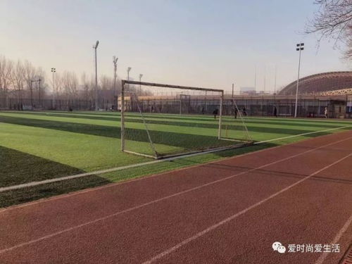 獅子女的周末 體育場地鋪裝的專業(yè)之旅