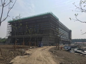 2018年6月7日至6月13日體育場地鋪裝現(xiàn)場工作紀(jì)實