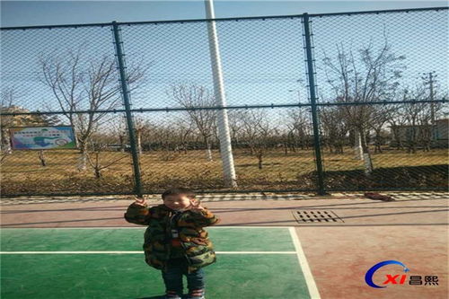 鹽邊昌熙公司 動物園護欄與體育場地鋪裝的專業供應商